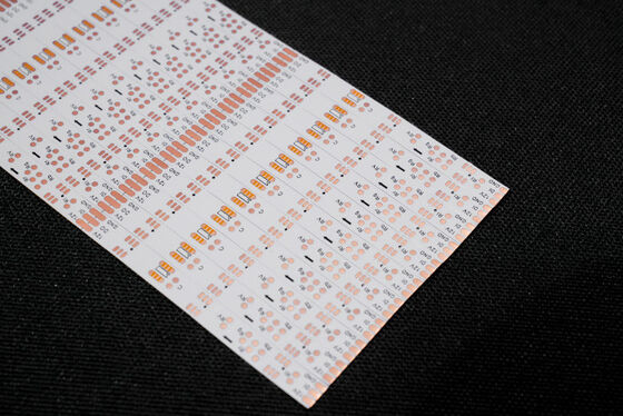 購入 二重層LEDライトストライプFPC,カスタムPCB設計と防火レベルV0 online manufacture